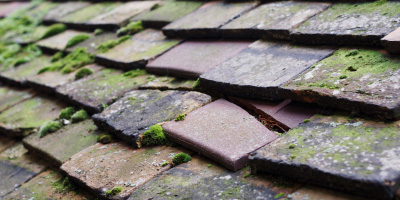 Wollaton roof repair costs